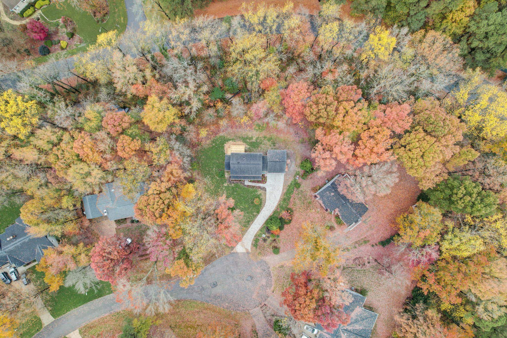 8713 Chesley Court