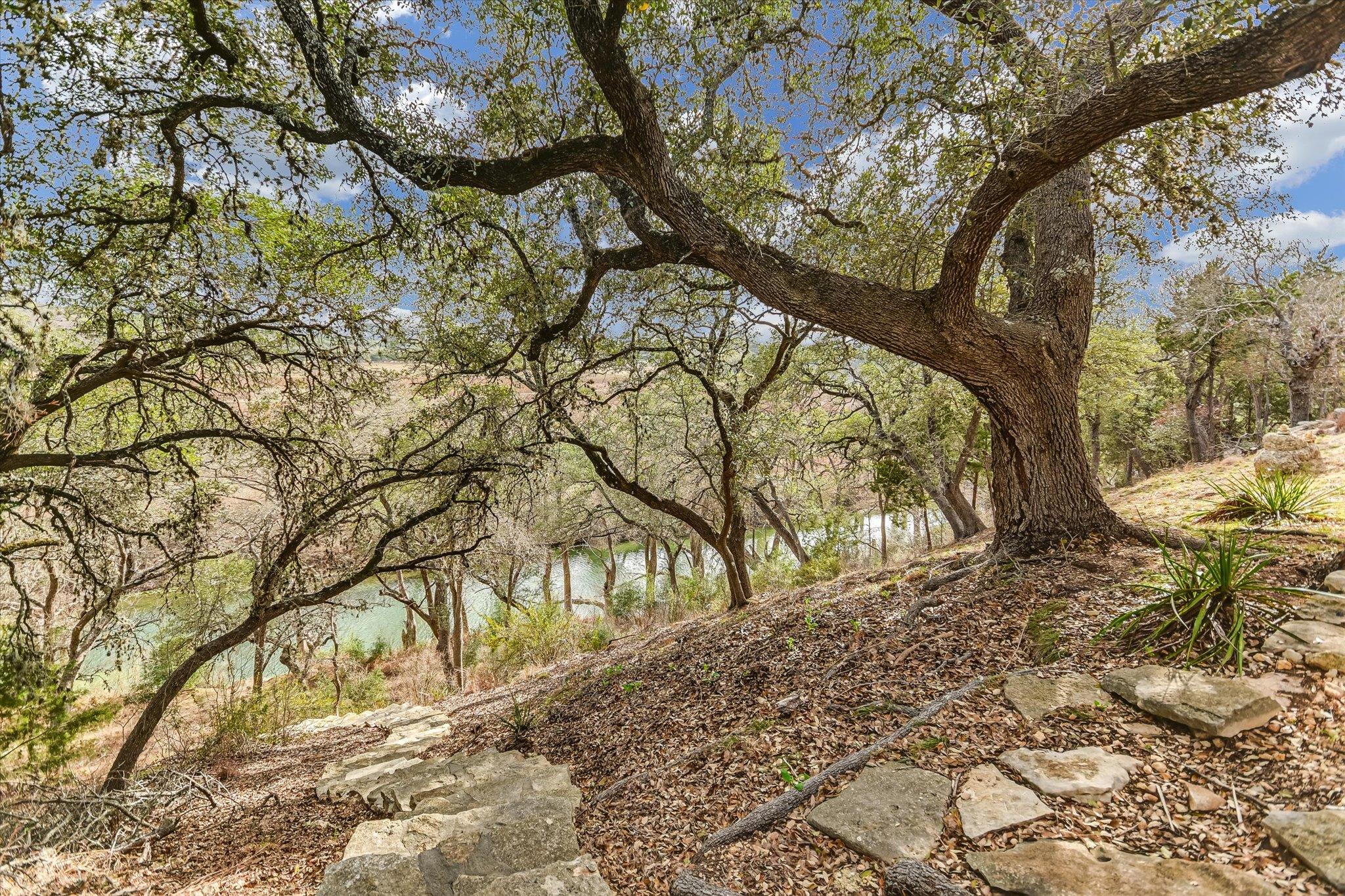 207 River Oaks DR