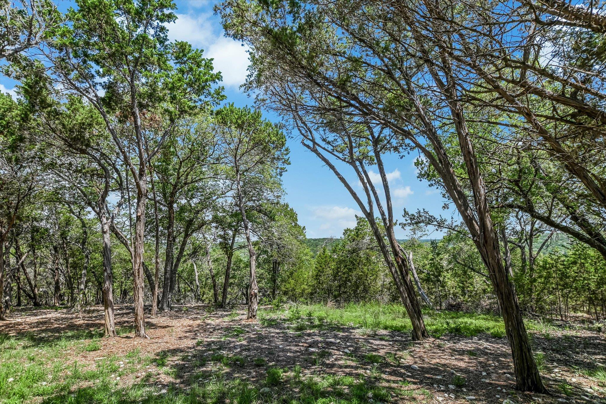 817 Woodcreek Ranch RD
