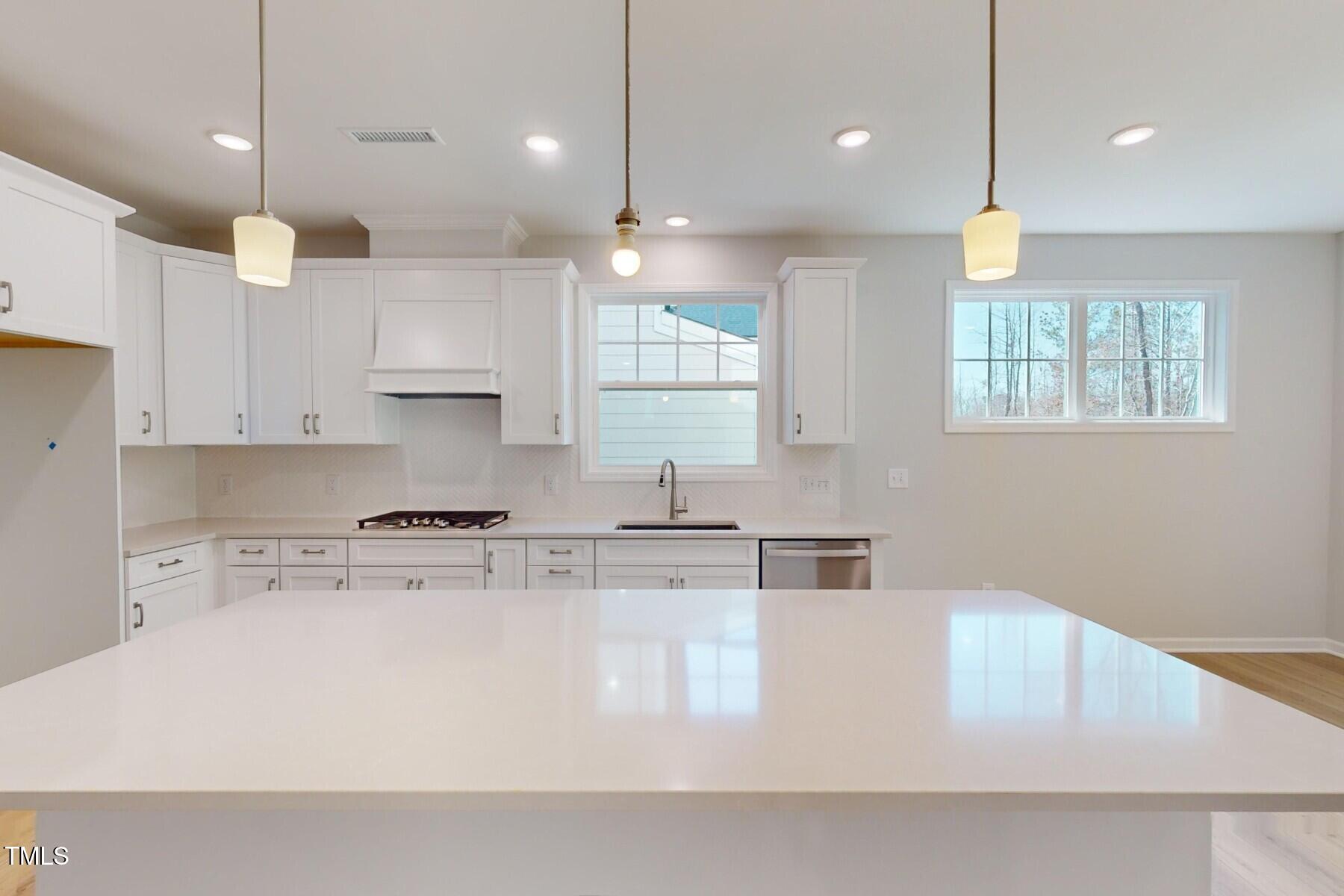 2430 Field Poppy Drive Lot 160