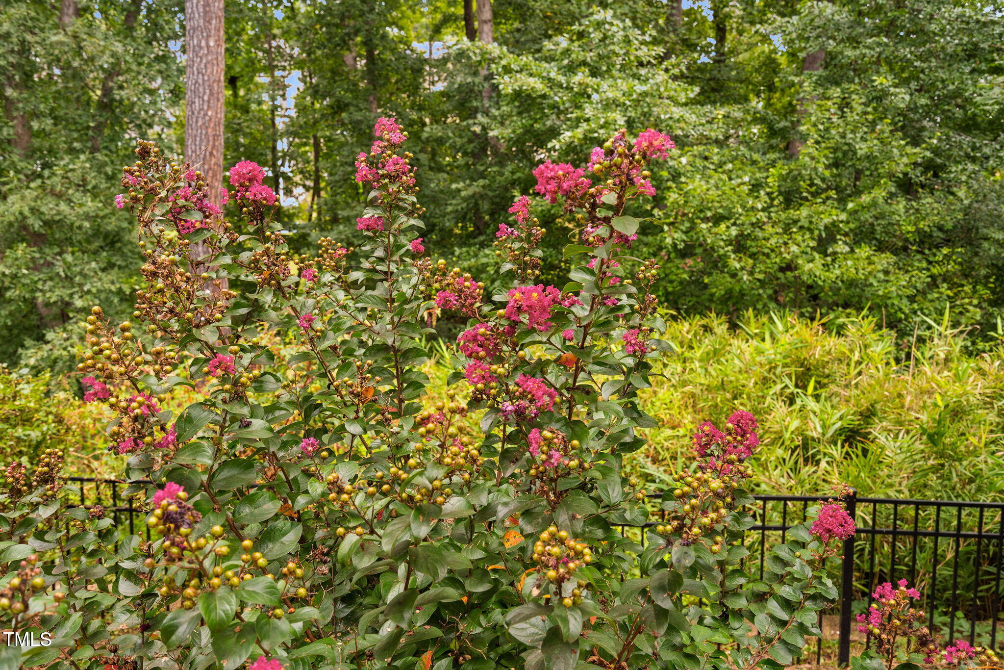 2117 Mckenzie Ridge Lane, Apex