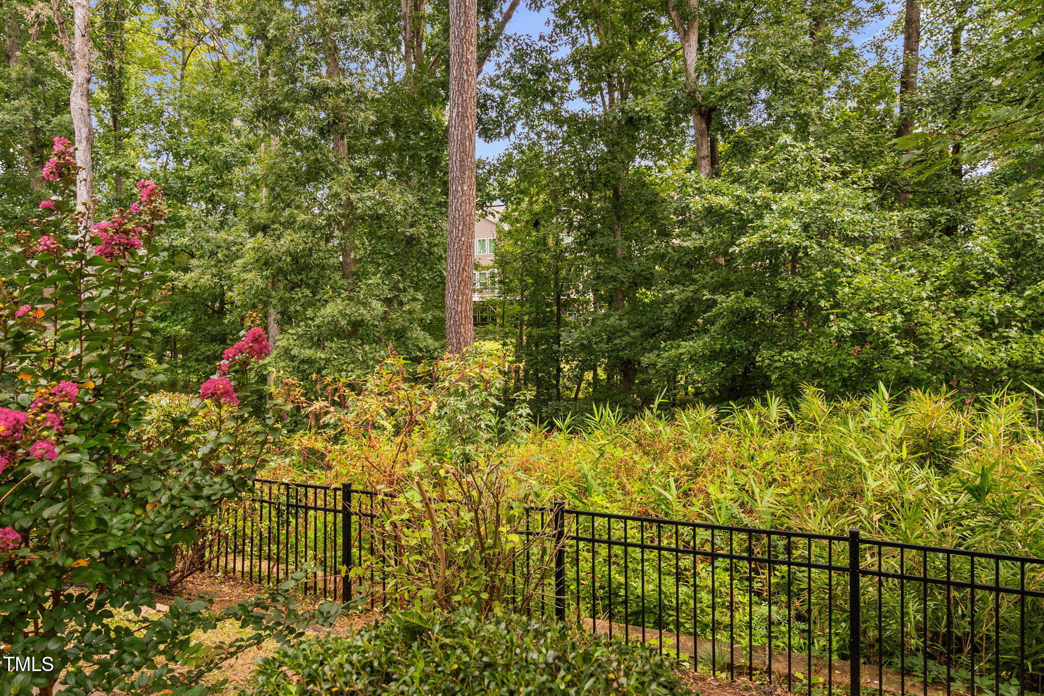 2117 Mckenzie Ridge Lane, Apex