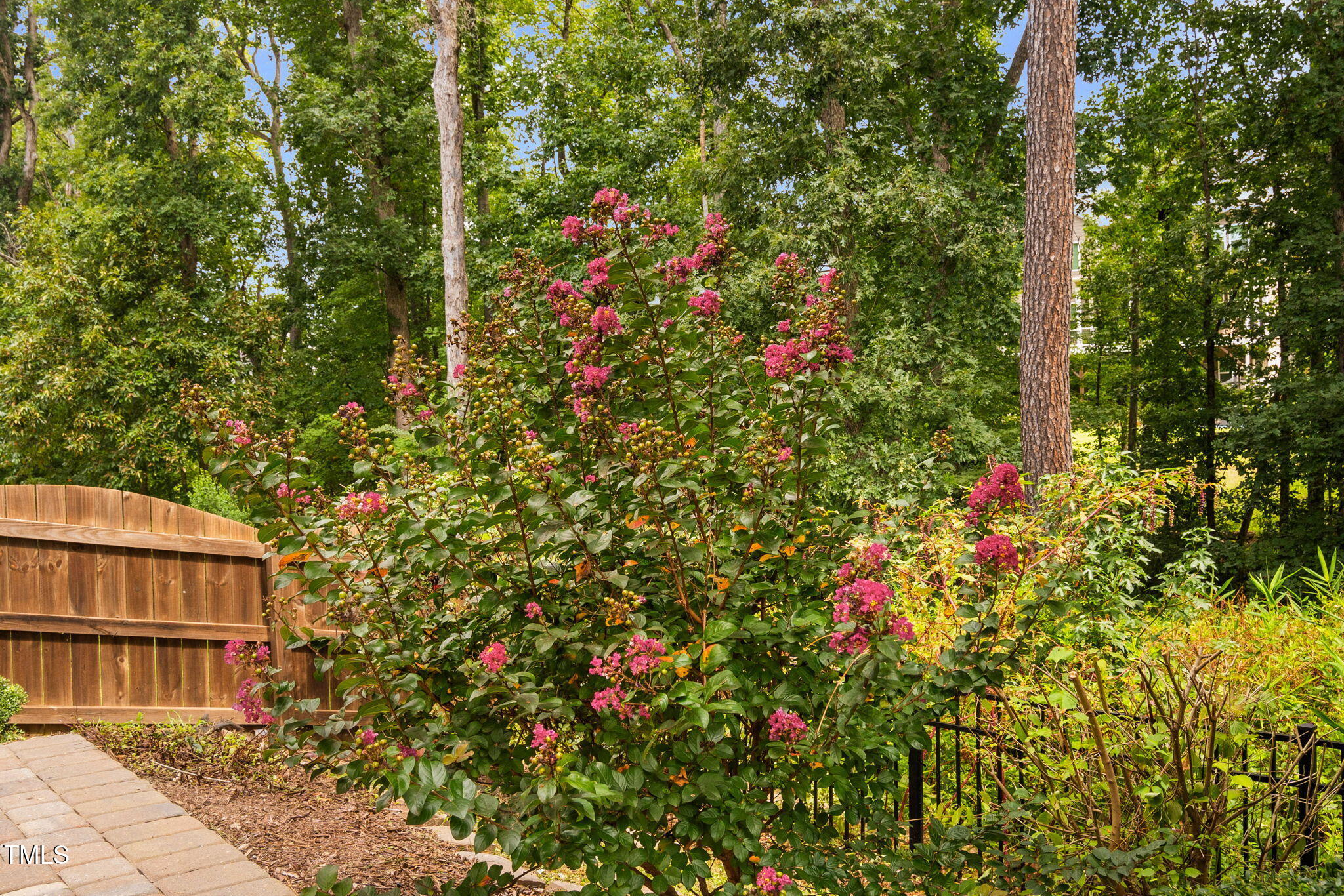 2117 Mckenzie Ridge Lane, Apex