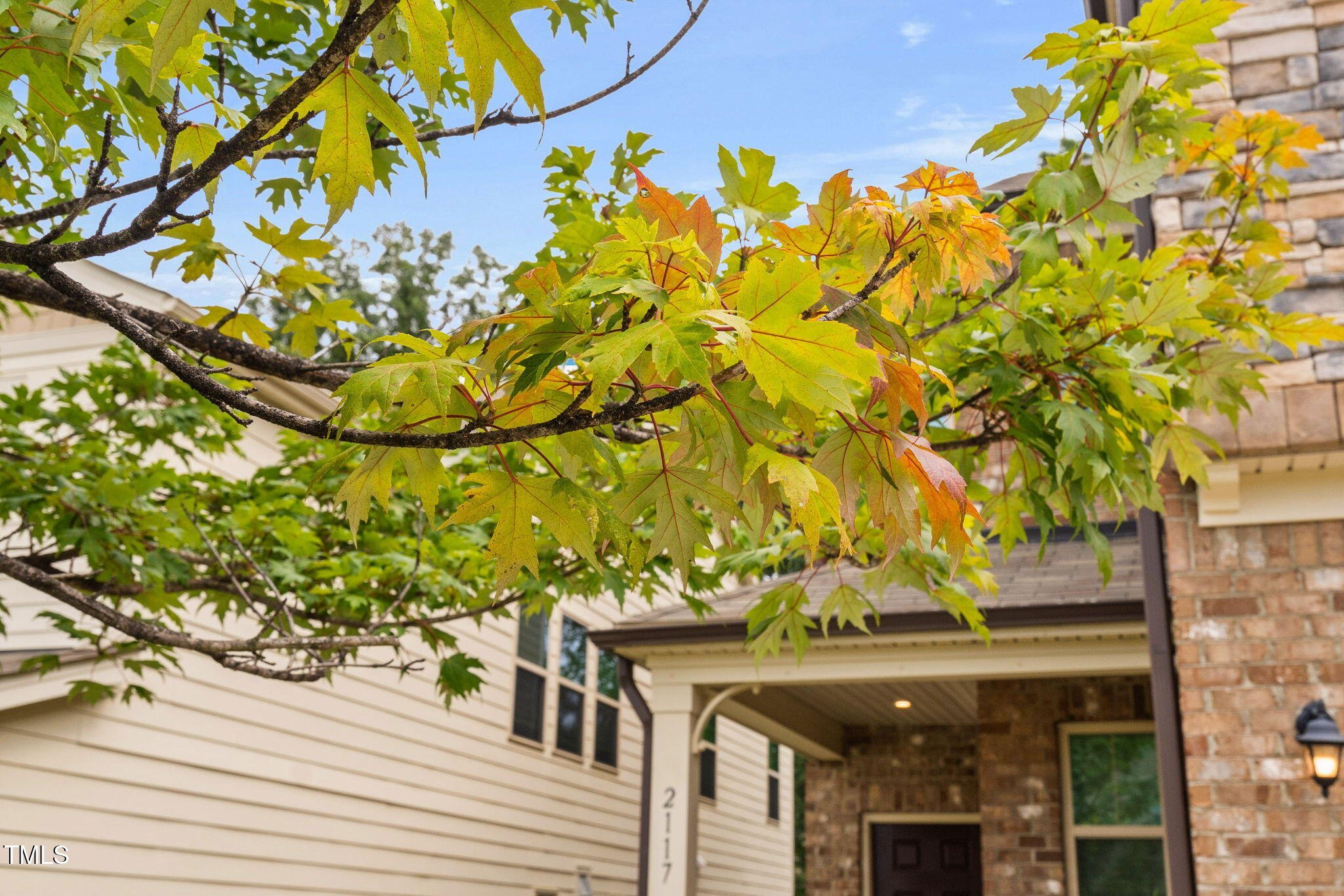 2117 Mckenzie Ridge Lane, Apex