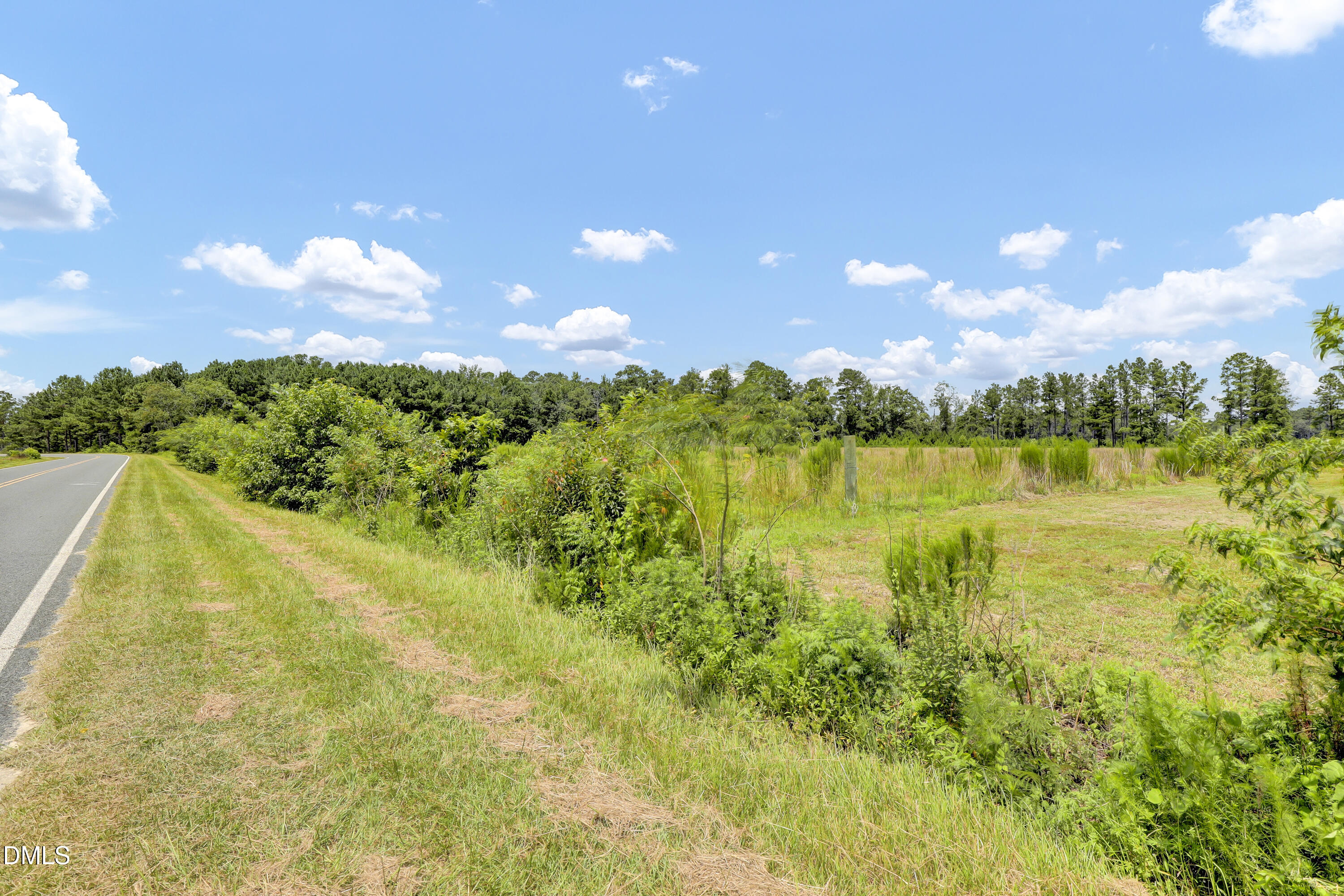 3001 Ebenezer Forrest Road