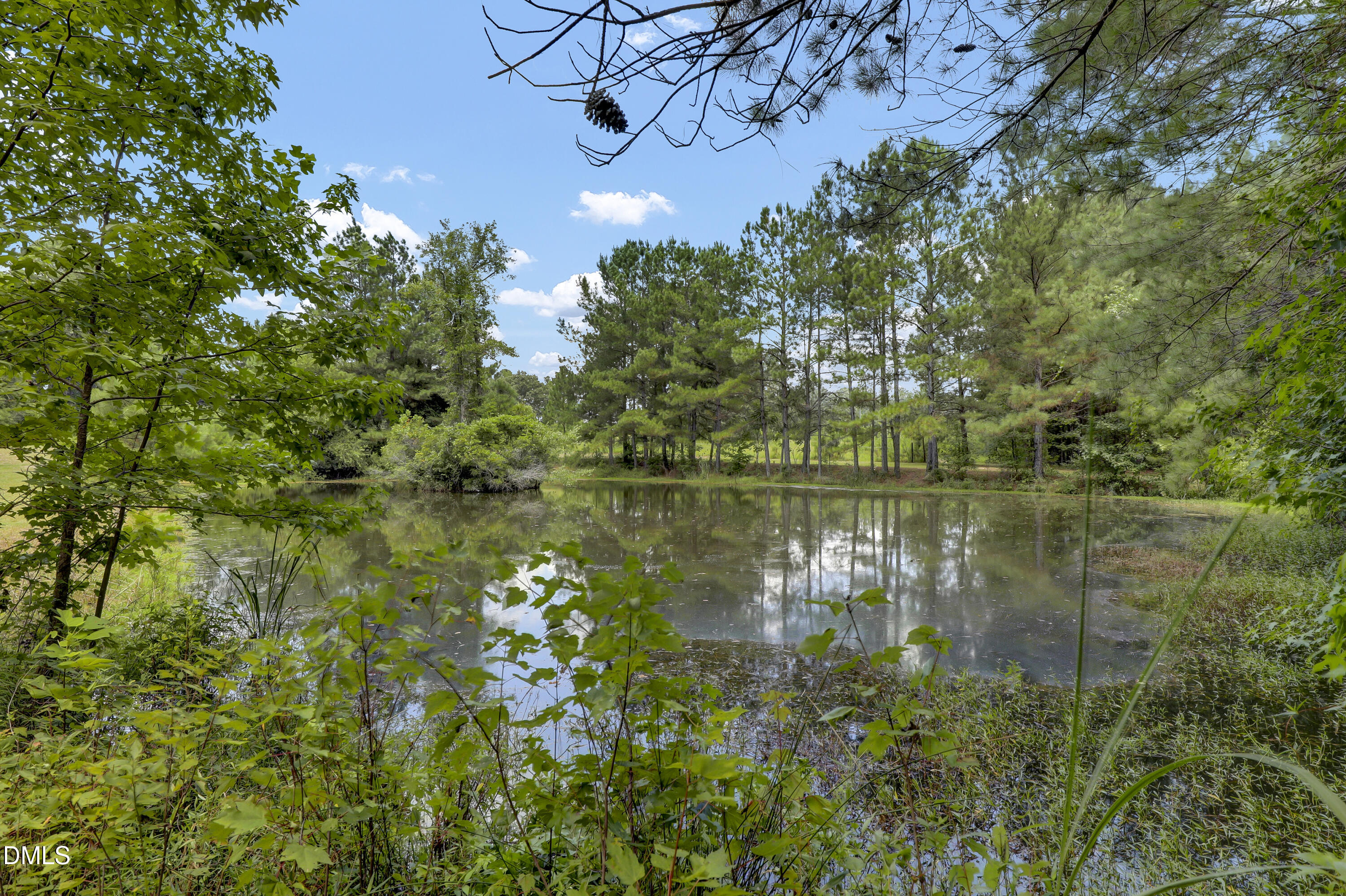 3001 Ebenezer Forrest Road