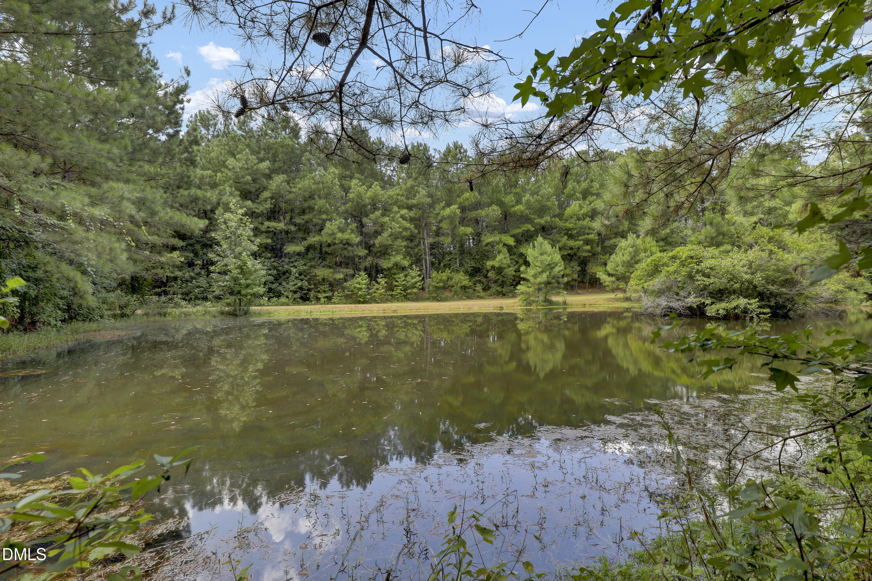 3001 Ebenezer Forrest Road