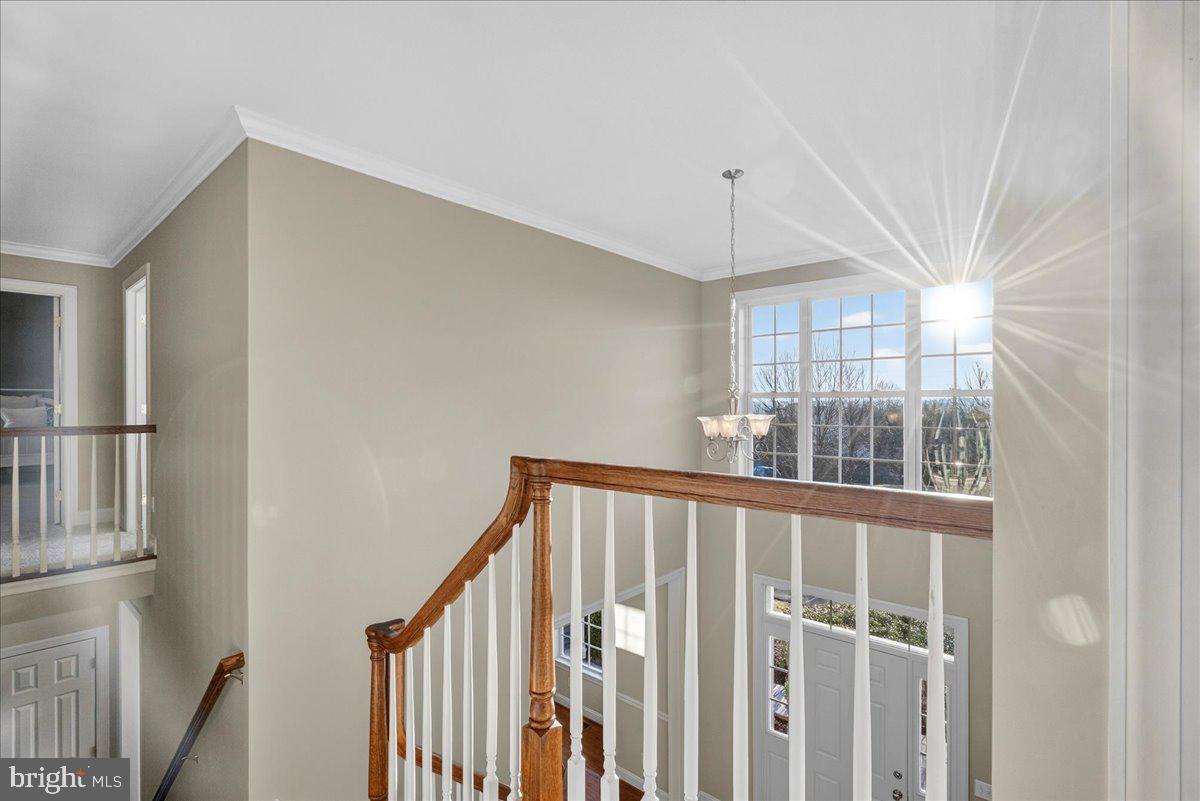4215 FERGUSON DRIVE
