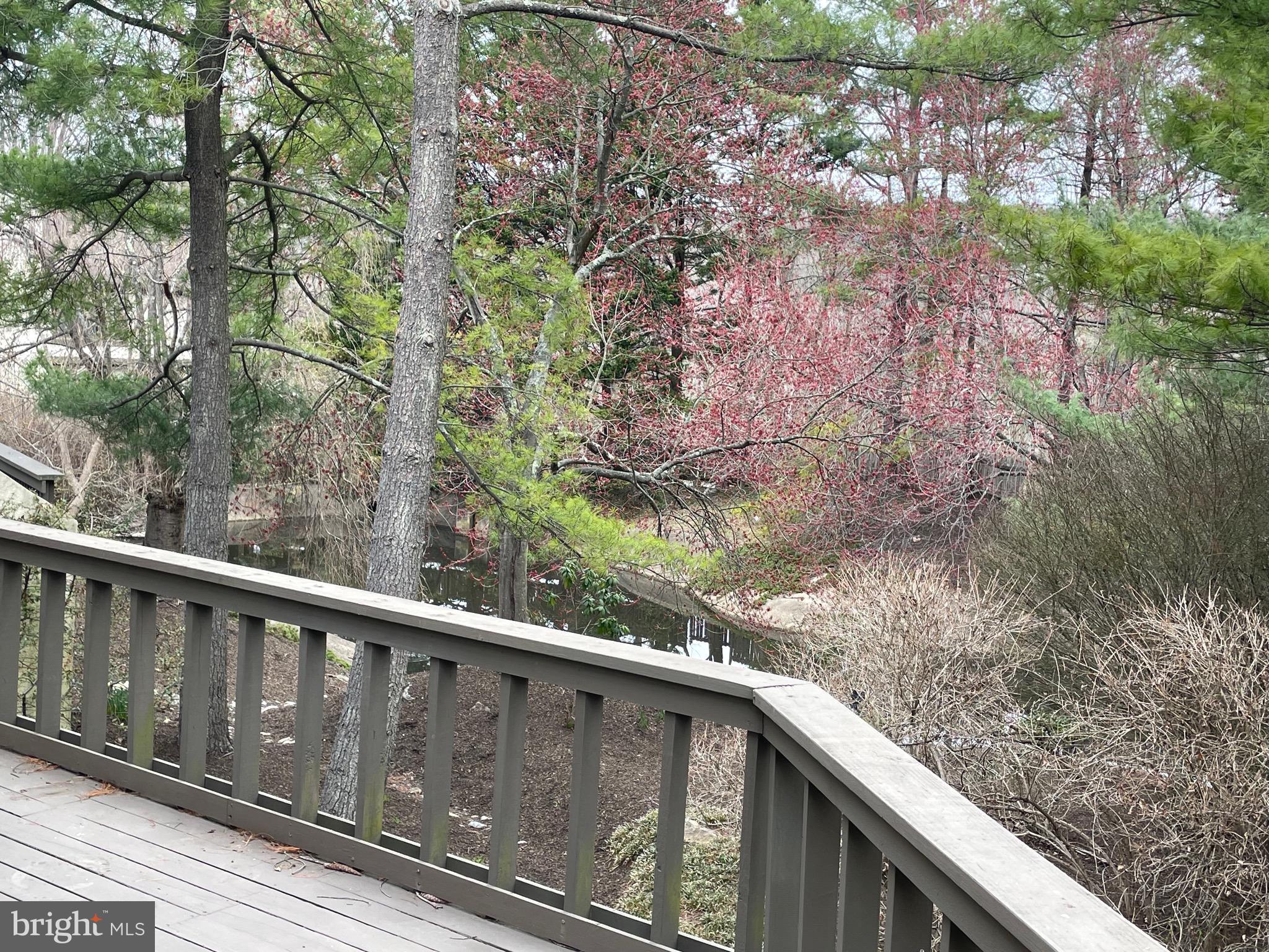 220 Springhouse Pond