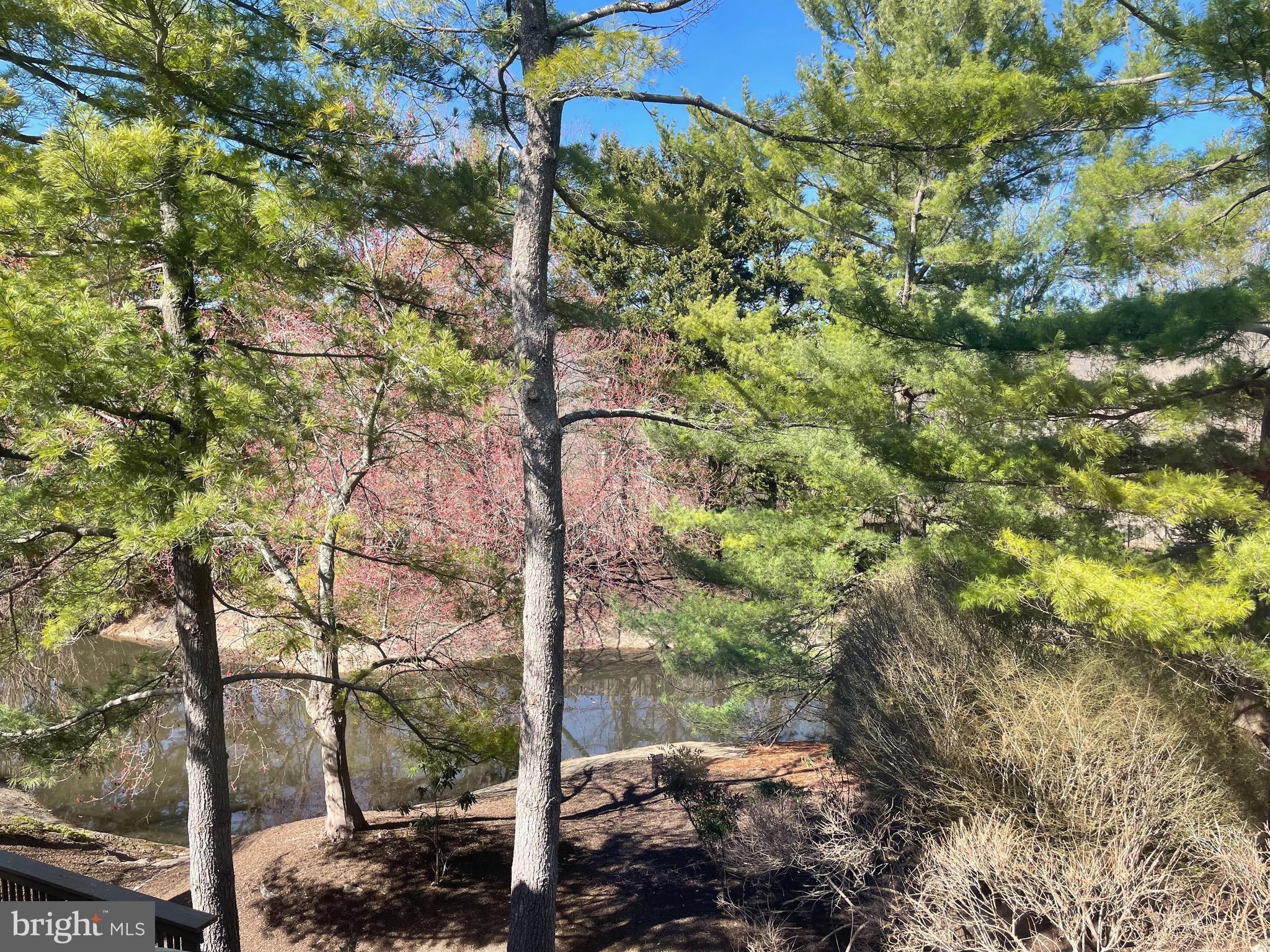 220 Springhouse Pond