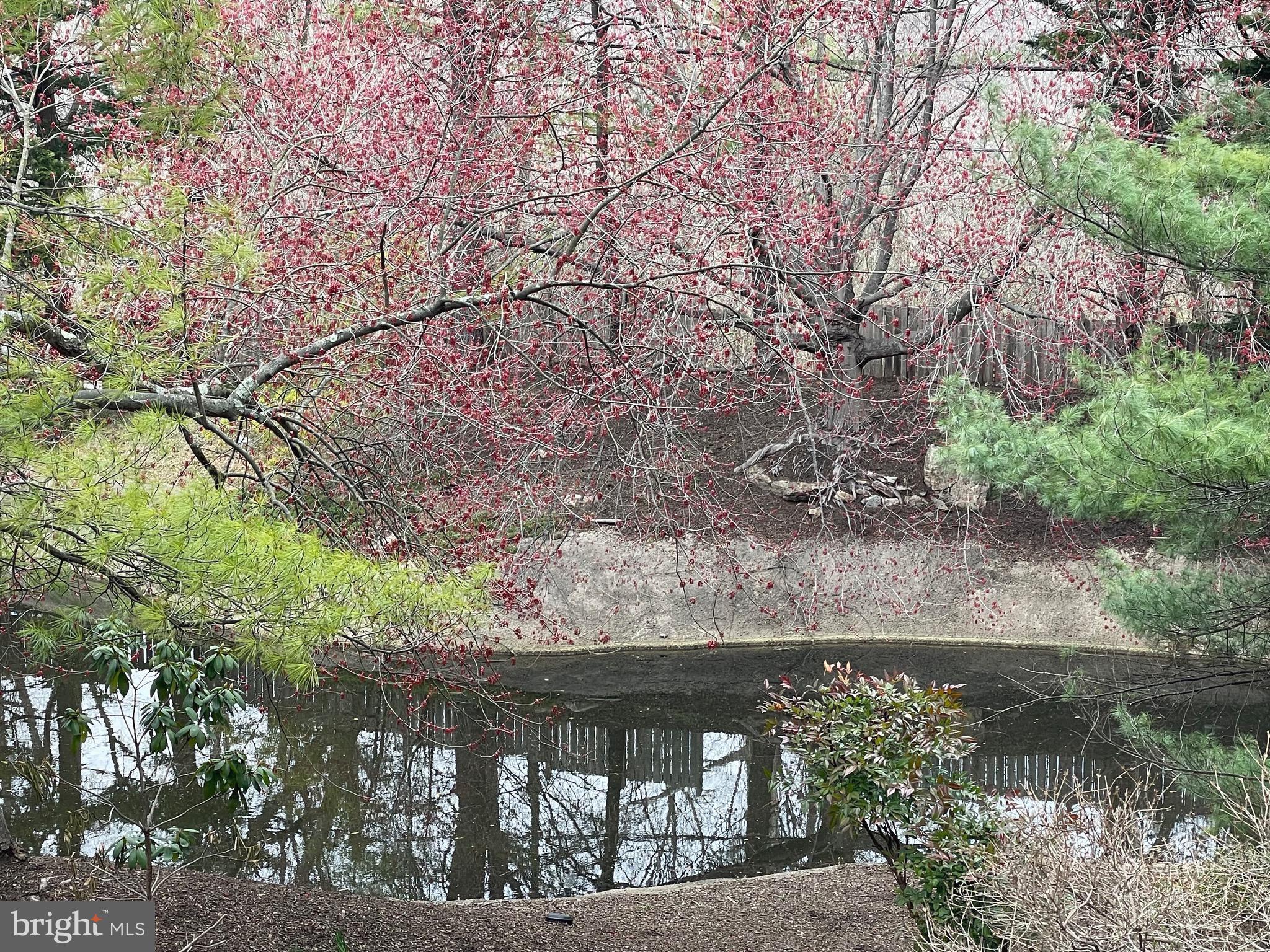 220 Springhouse Pond