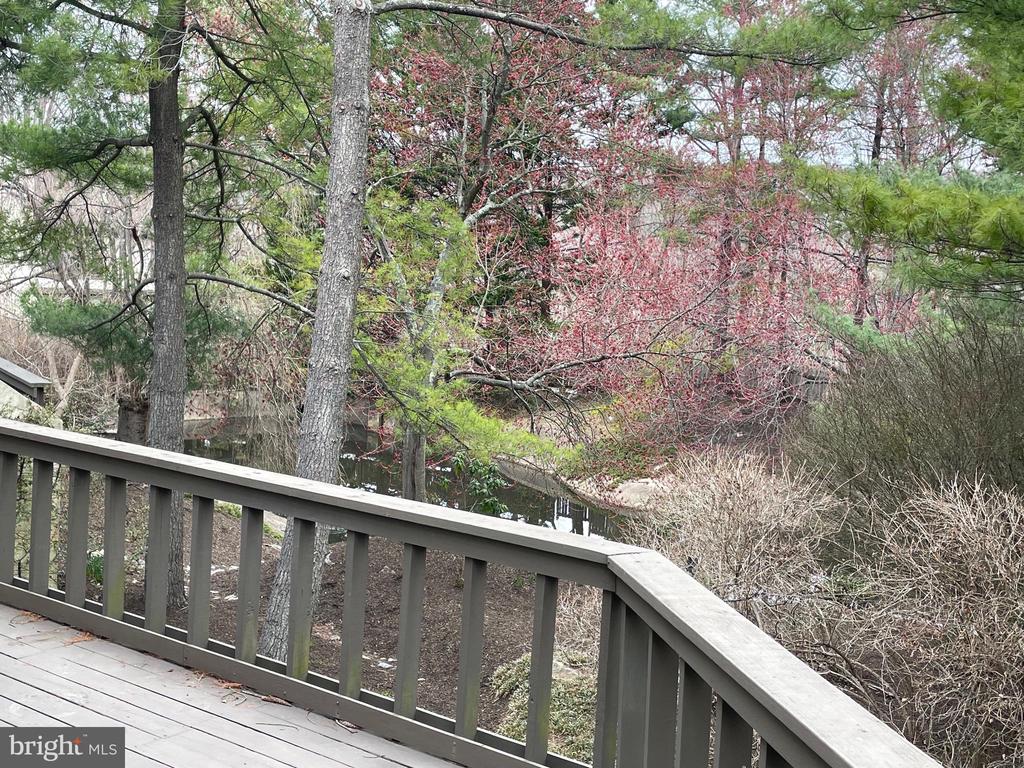 220 Springhouse Pond