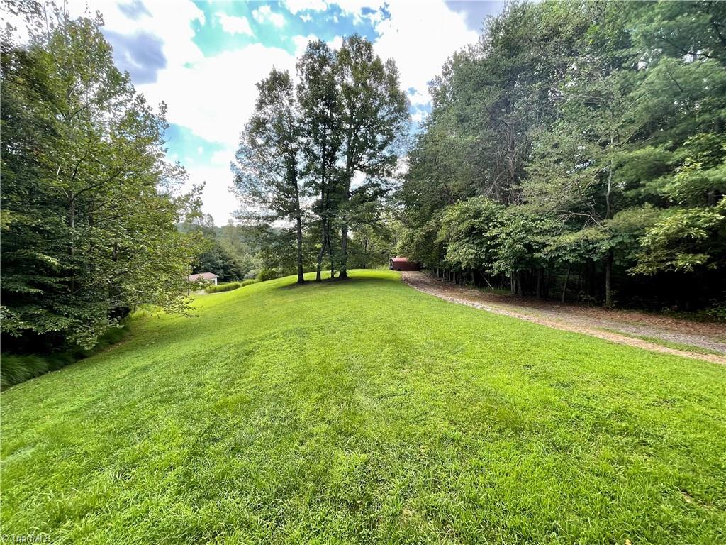 311 Frasier Fir Lane