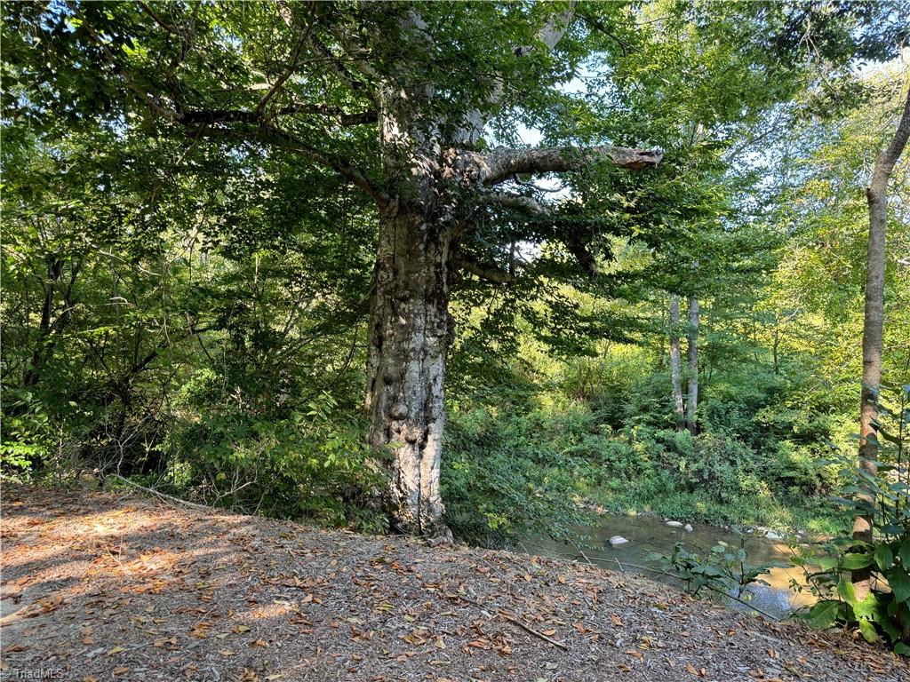 310 Shumate Mountain Road