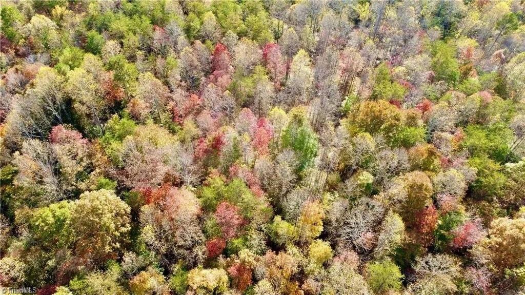 TBD Elkin Highway 268