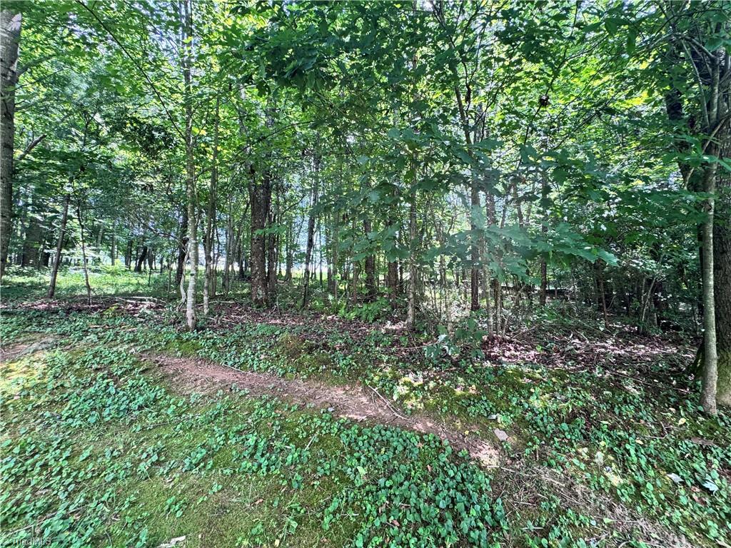 1242 Carter Mill Road