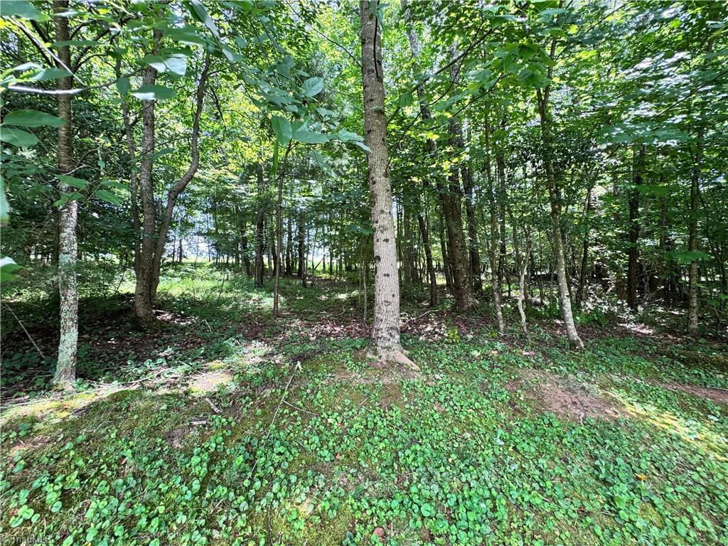 1242 Carter Mill Road