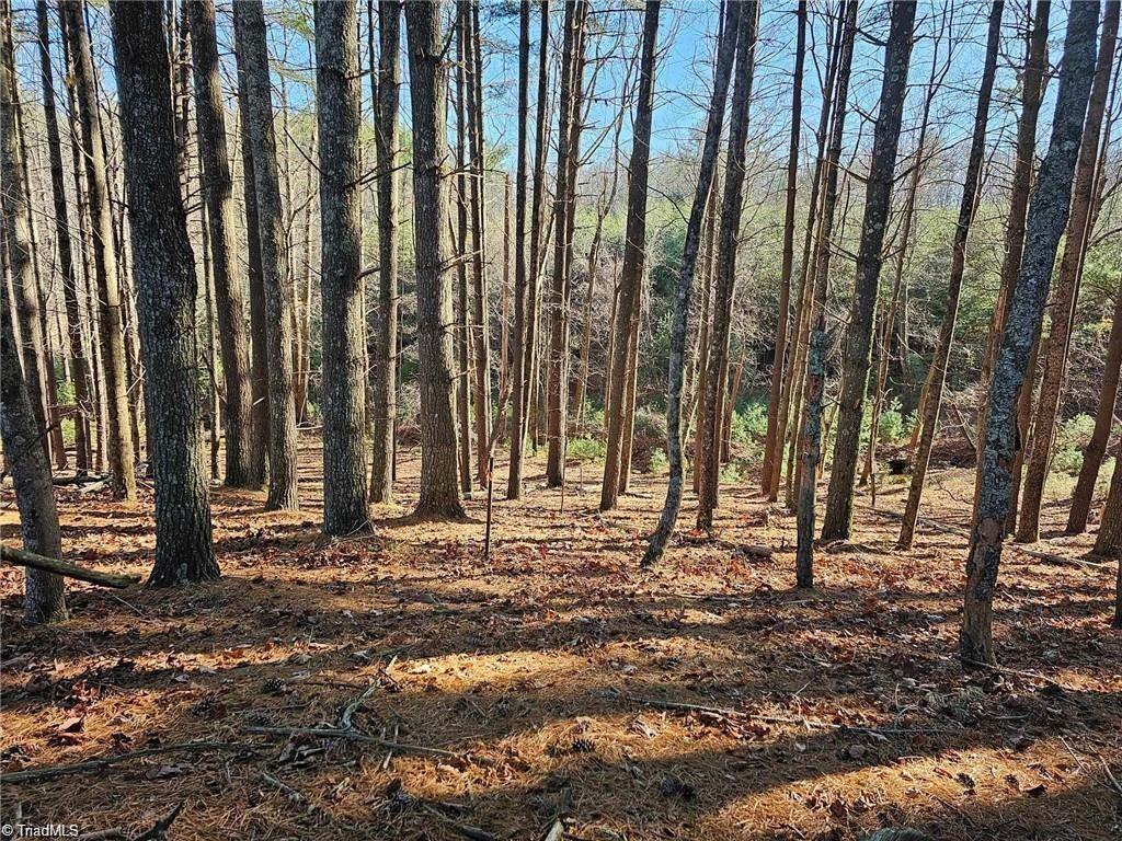 Lot 82 Mcintosh Drive