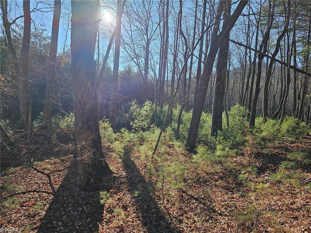 Lot 82 Mcintosh Drive