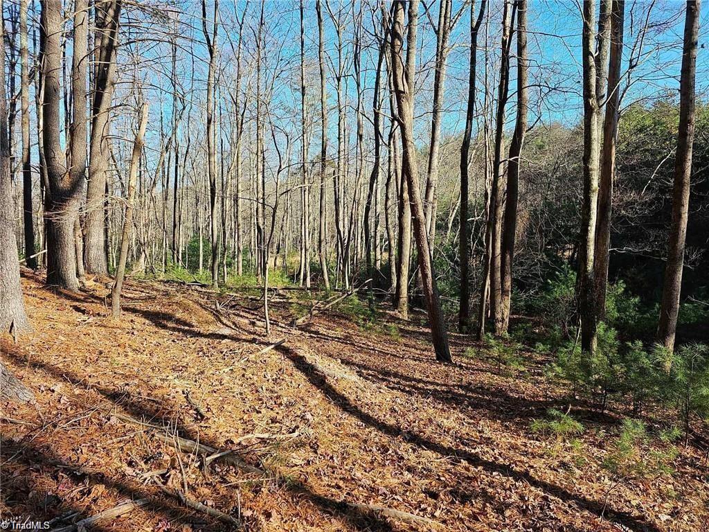 Lot 82 Mcintosh Drive