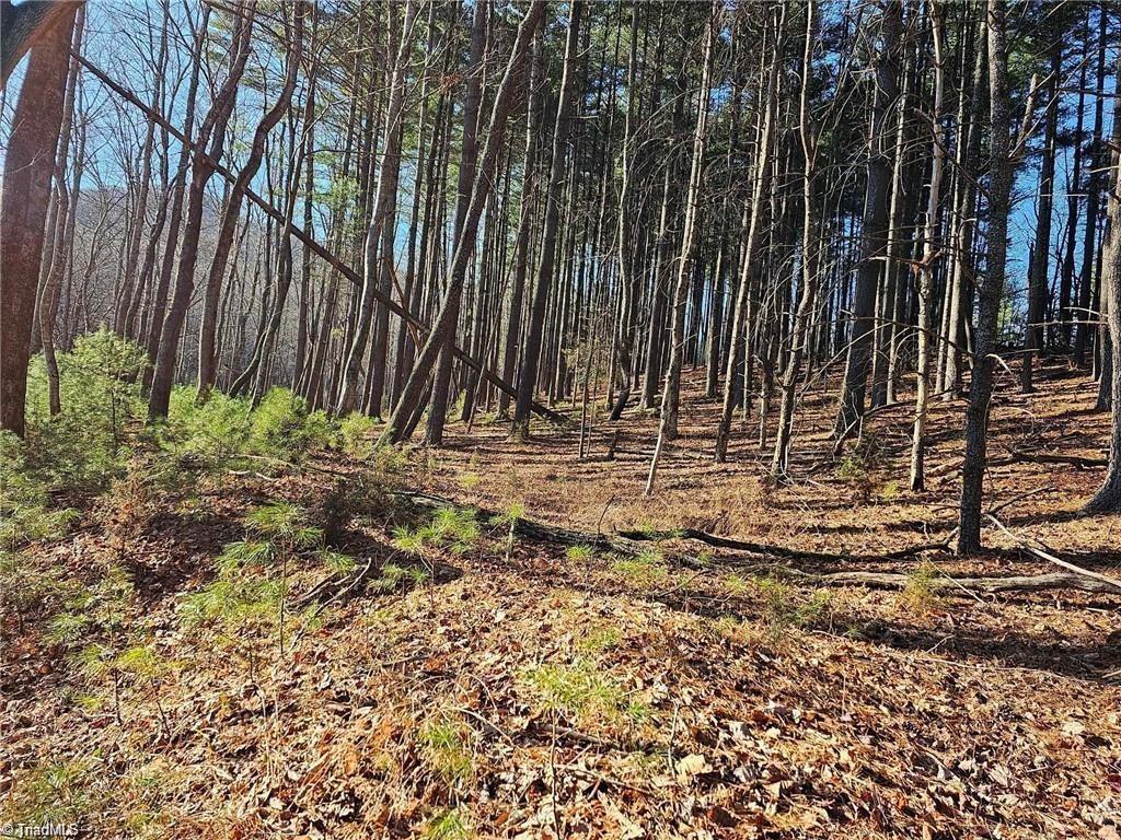 Lot 82 Mcintosh Drive