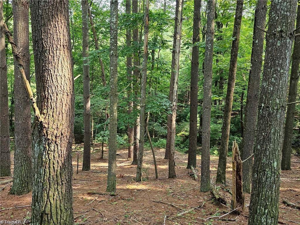 Lot 82 Mcintosh Drive