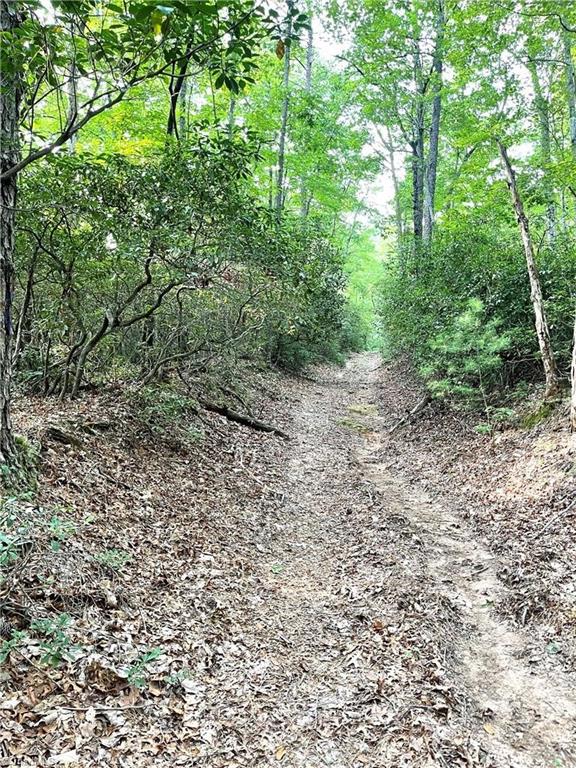 TBD Buck Drive