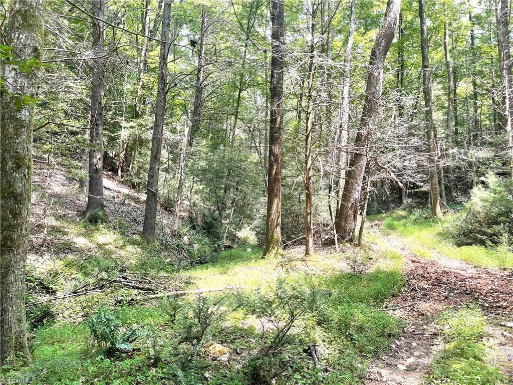 TBD Buck Drive