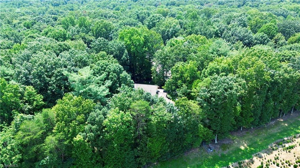 204 Quail Tree Lane