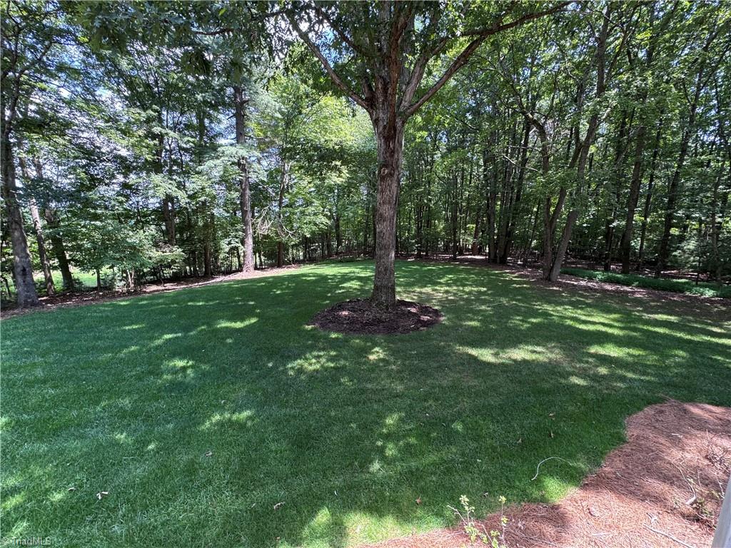 204 Quail Tree Lane