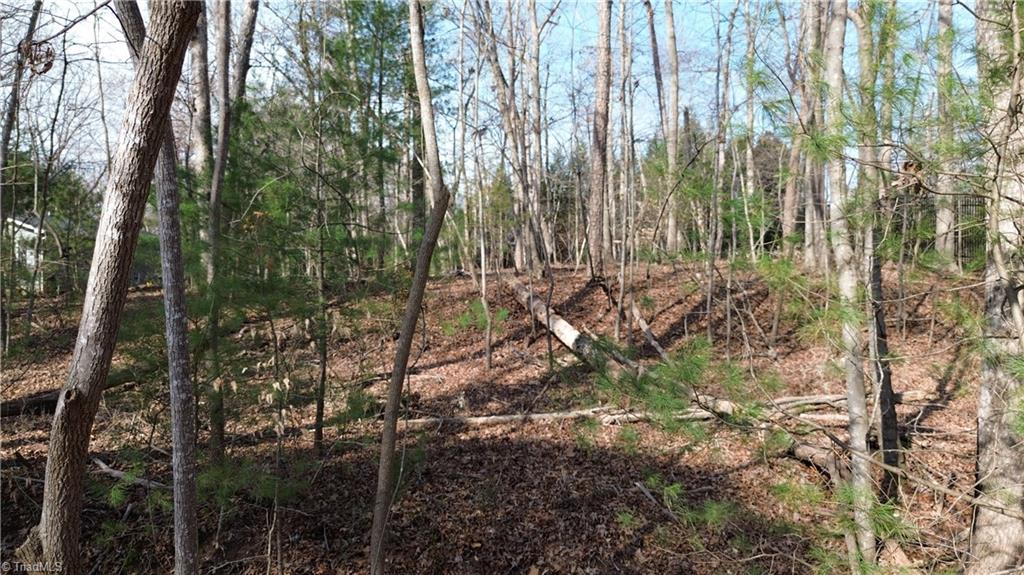 183 Forest Hills Lane