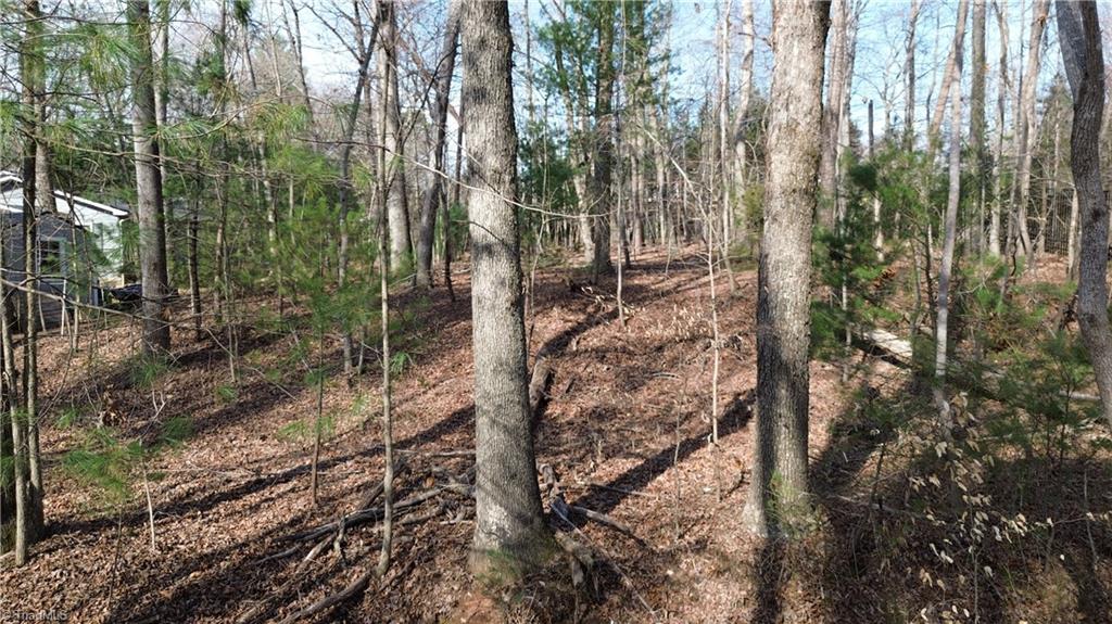 183 Forest Hills Lane