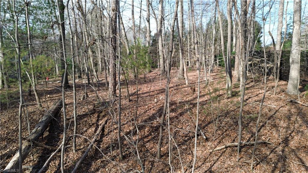 183 Forest Hills Lane