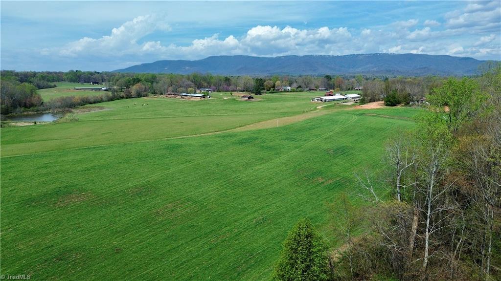 184 Silver Pine Trail