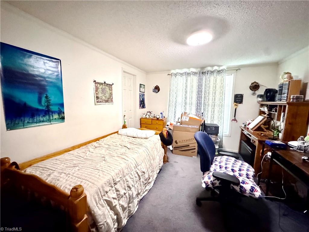 184 Silver Pine Trail