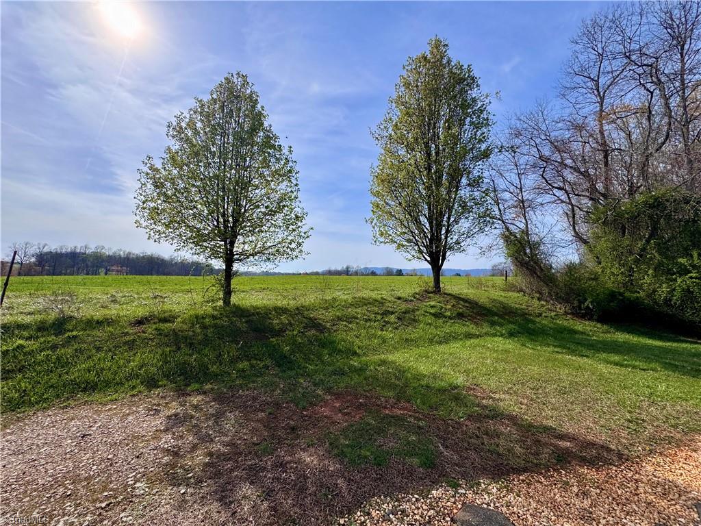 184 Silver Pine Trail