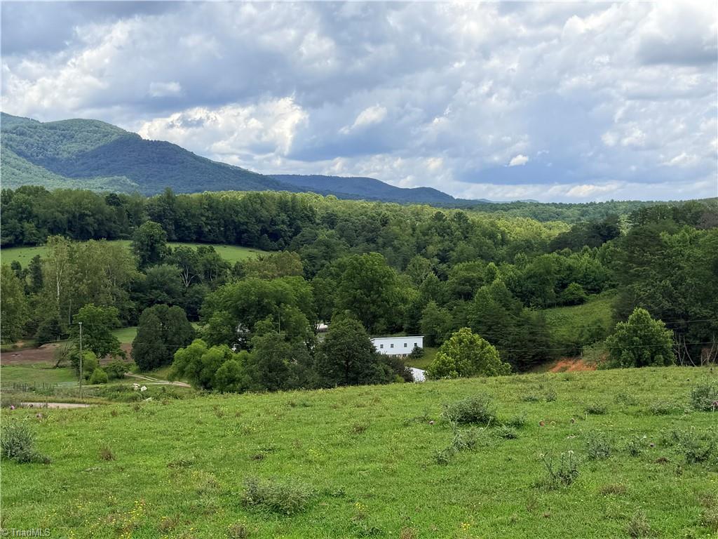 310 Triple Creek Drive