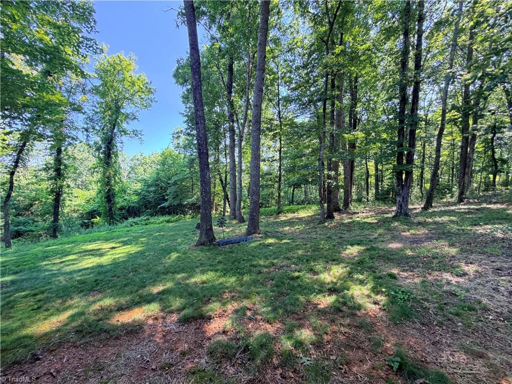 74 Forest Lane