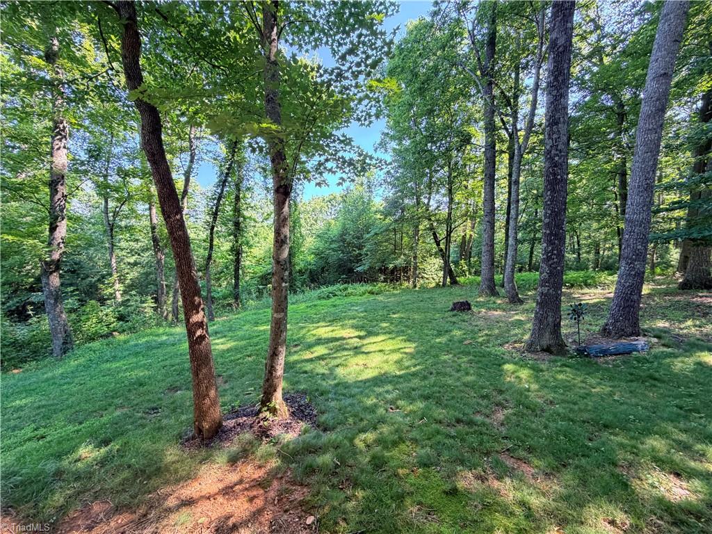 74 Forest Lane