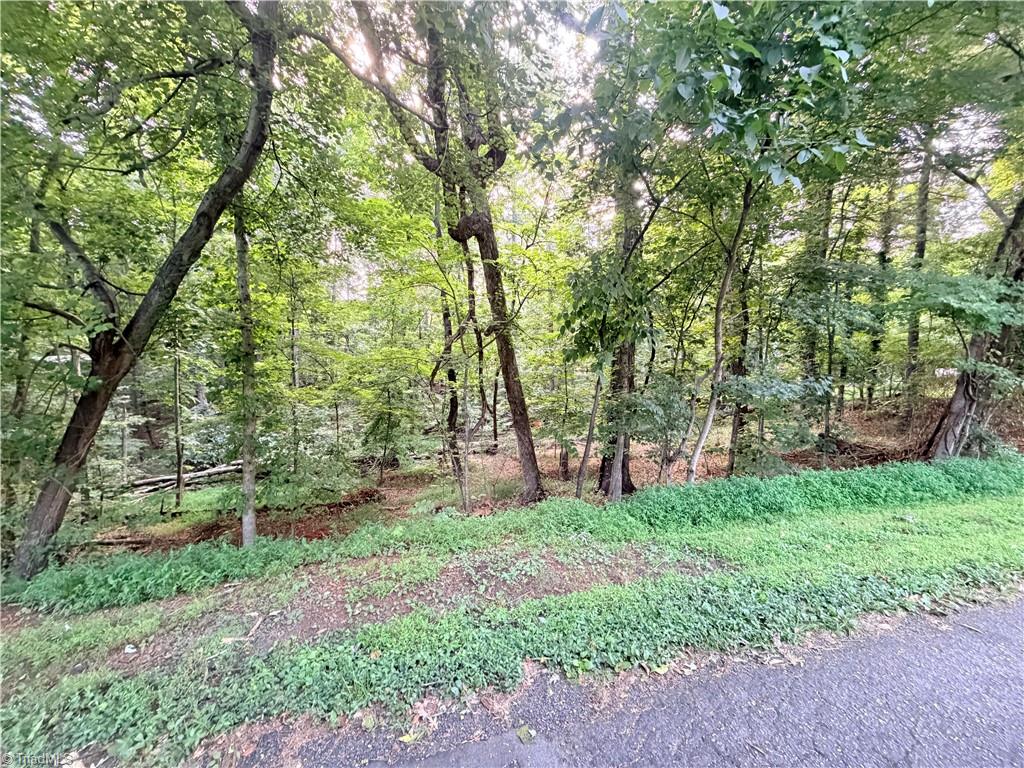 TBD Woodland Drive