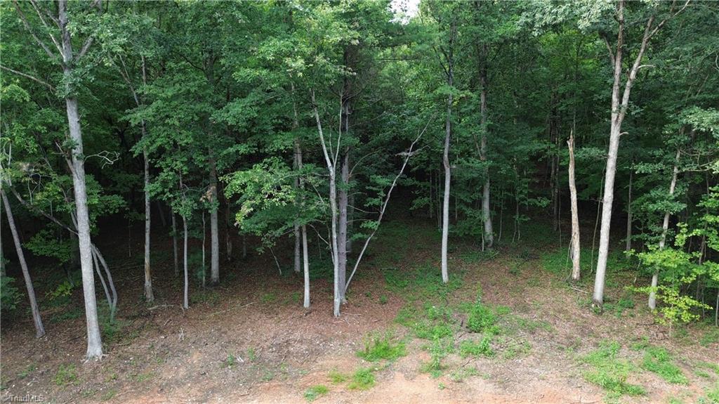 171 One Mile Road