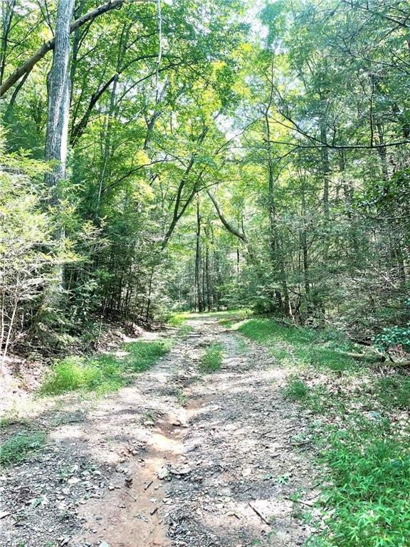 TBD Buck Drive