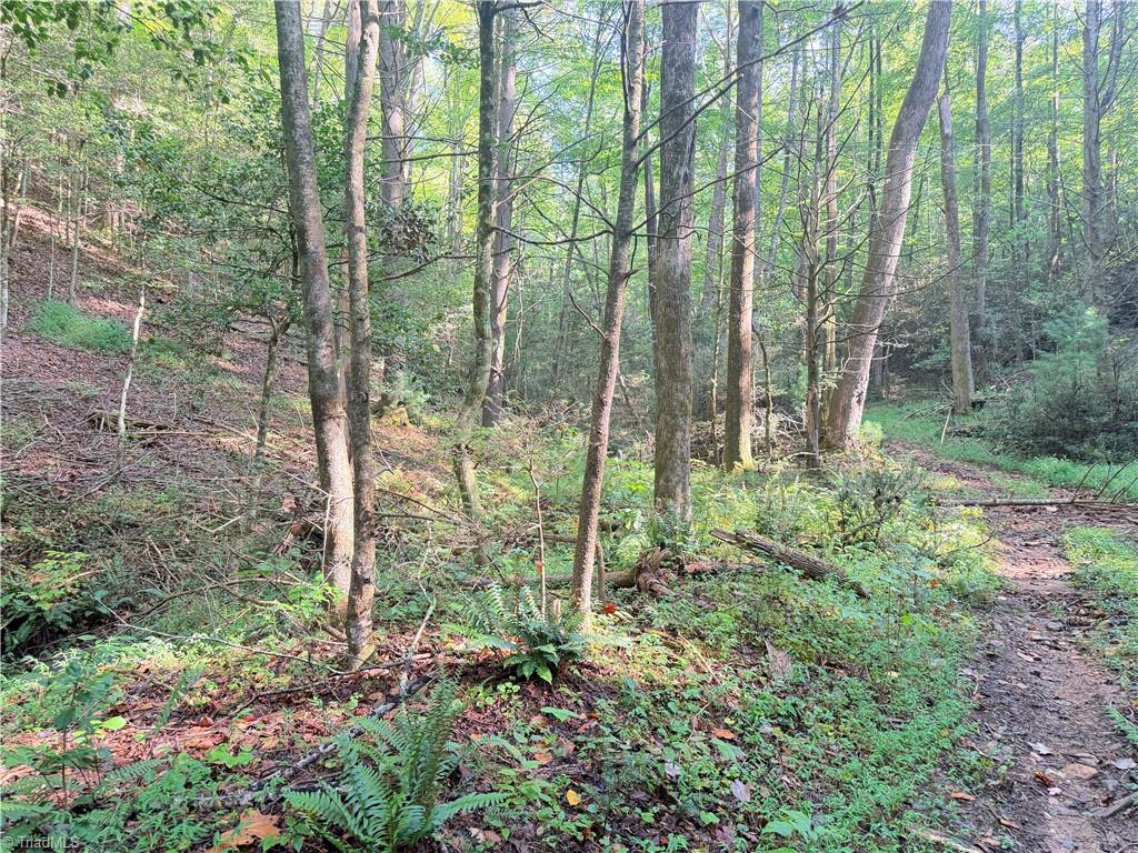 TBD Buck Drive