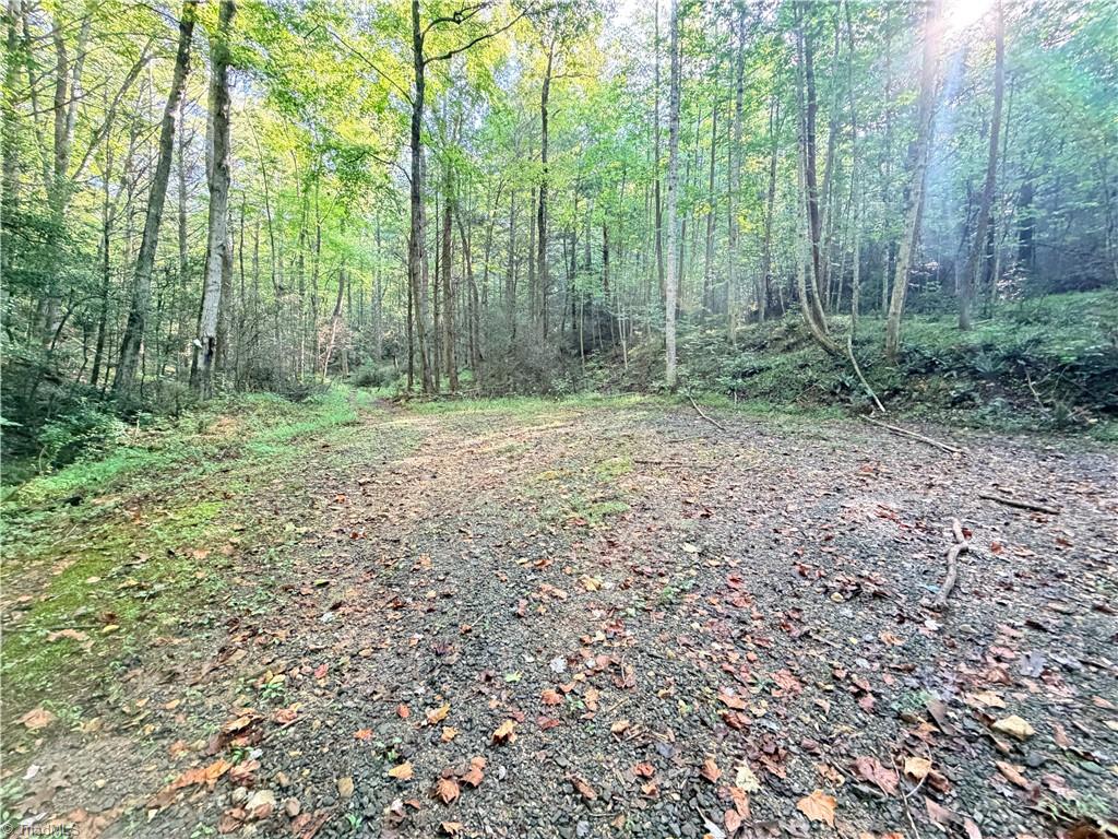 TBD Buck Drive