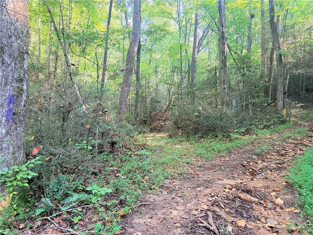 TBD Buck Drive