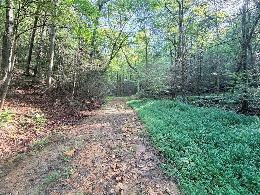 TBD Buck Drive