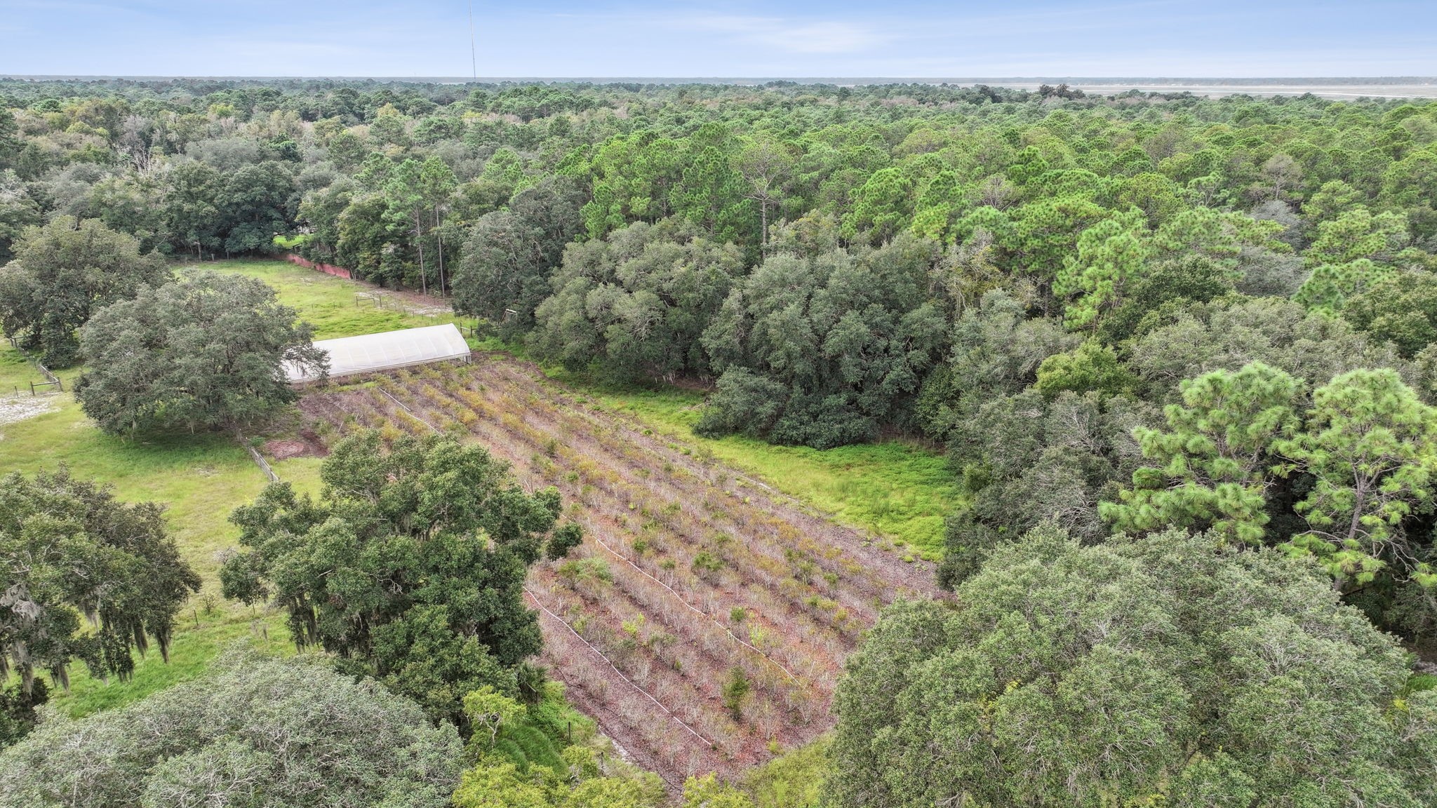 85006 CREWS ROAD