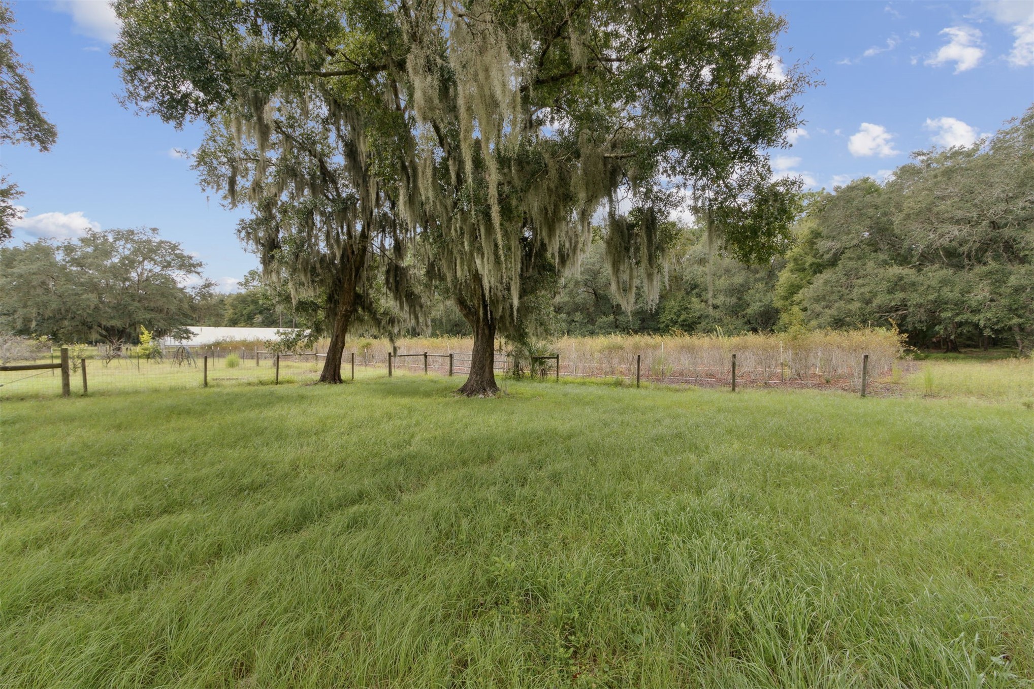85006 CREWS ROAD