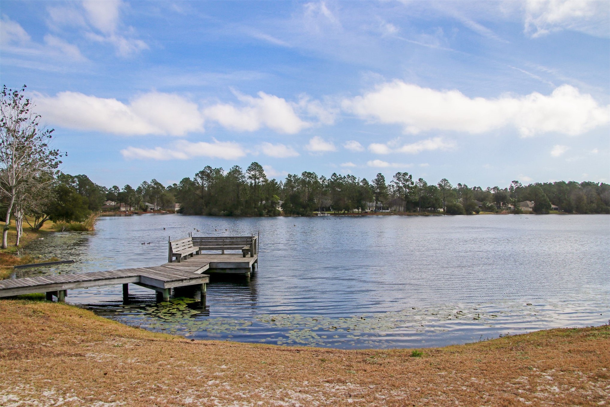 23671 BAHAMA POINT 1216