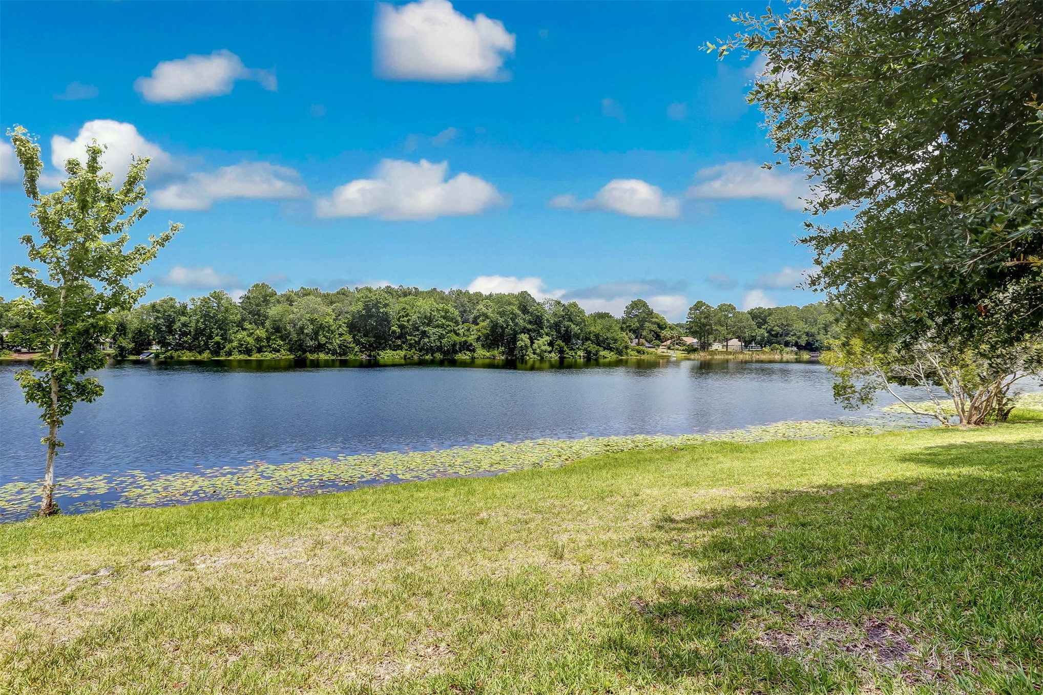 23671 BAHAMA POINT 1216
